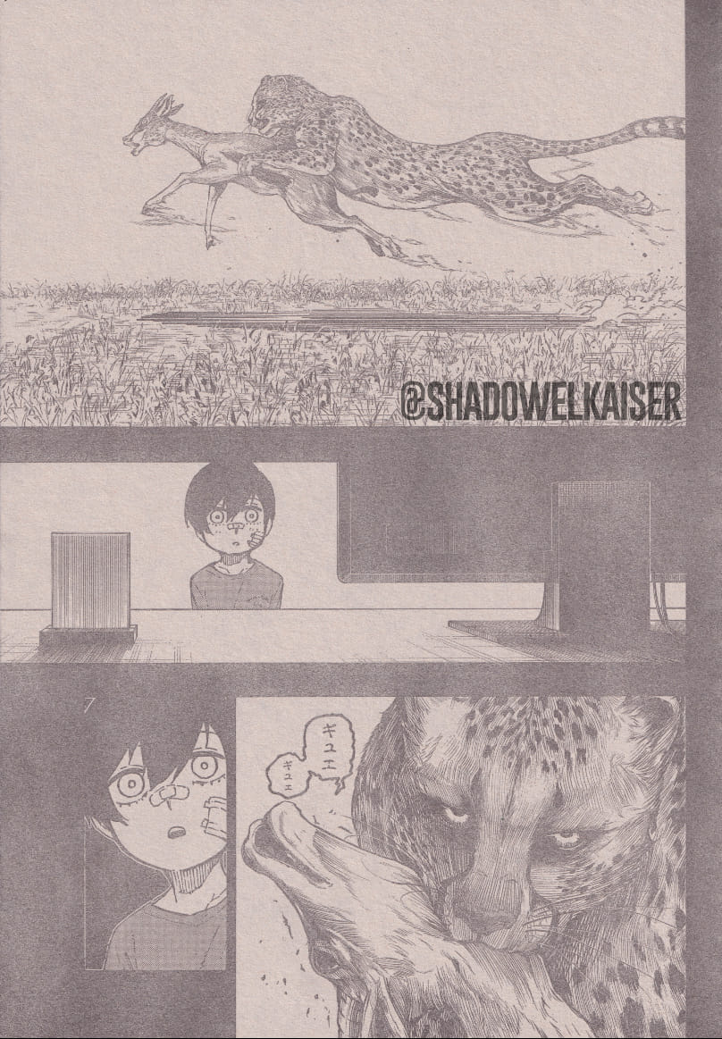 Read Blue Lock (ES) Manga Online