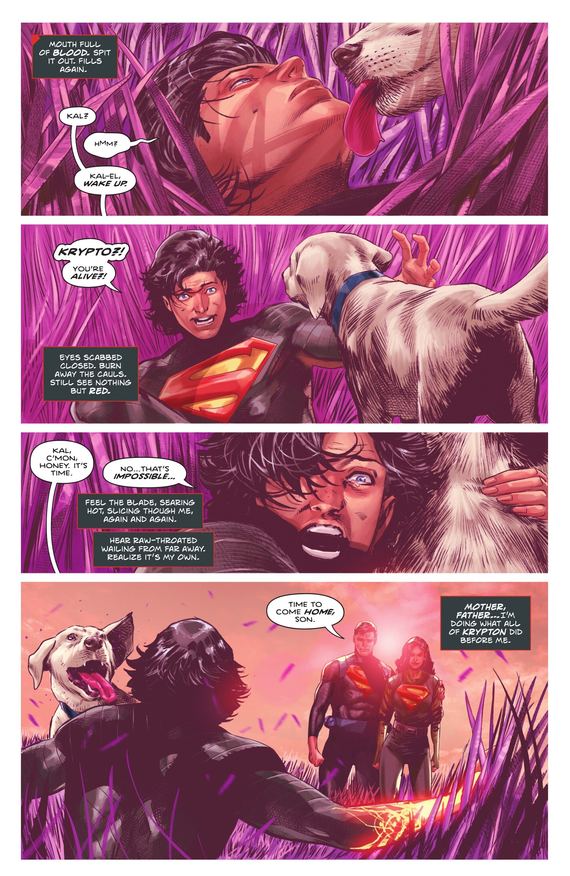 Read Absolute Superman (2024) Manga Online