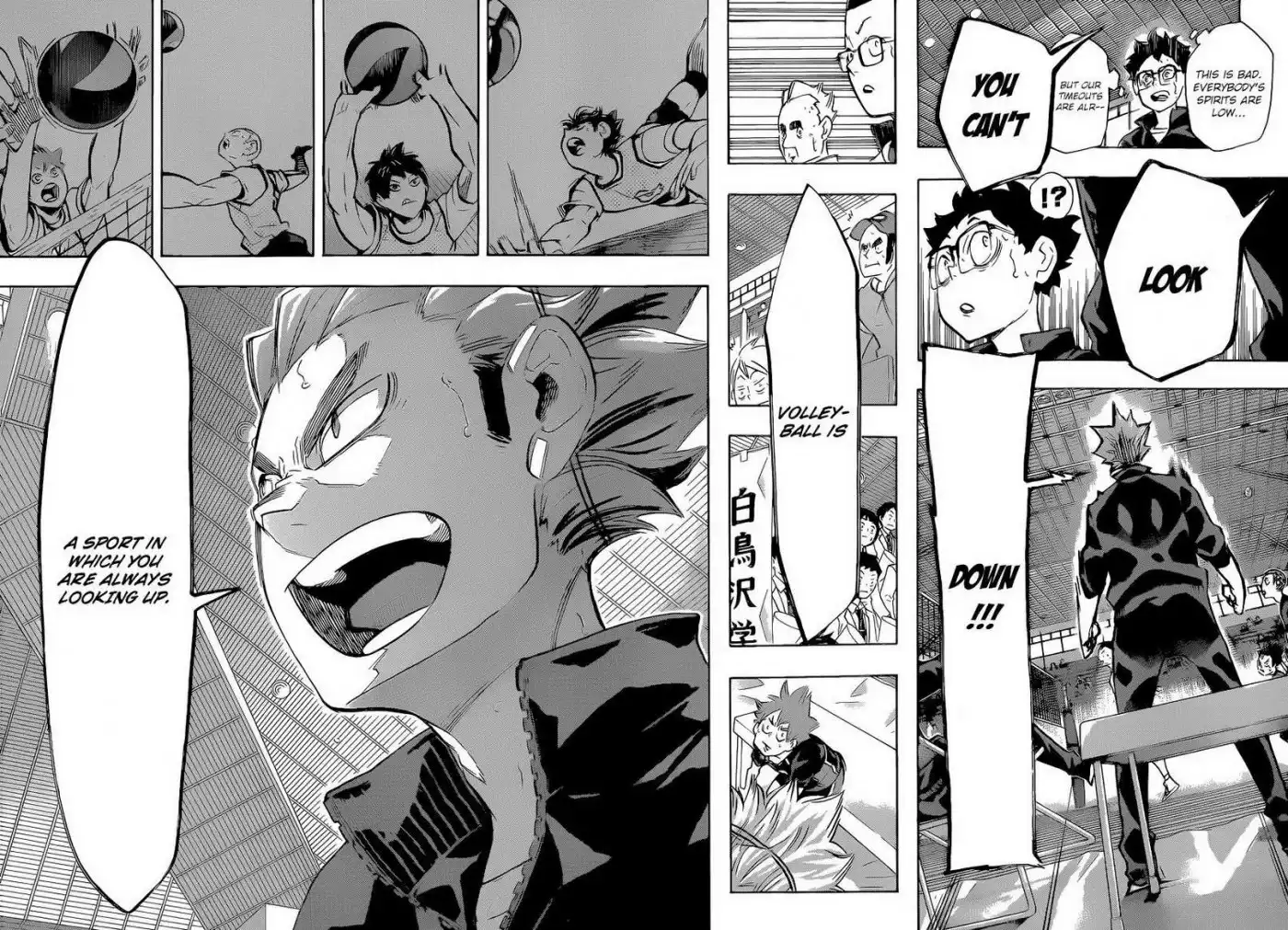 Read Haikyuu!! Manga Online