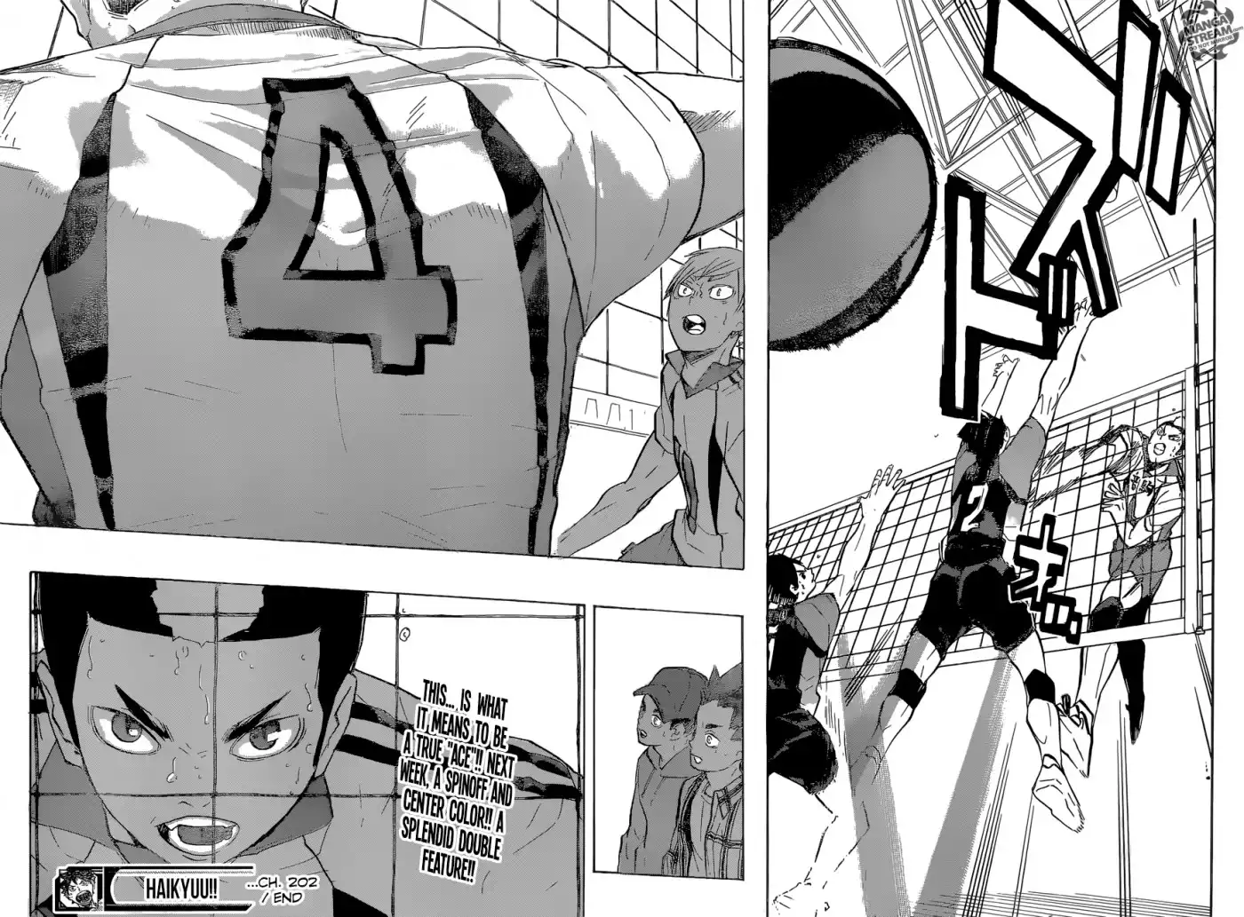 Read Haikyuu!! Manga Online