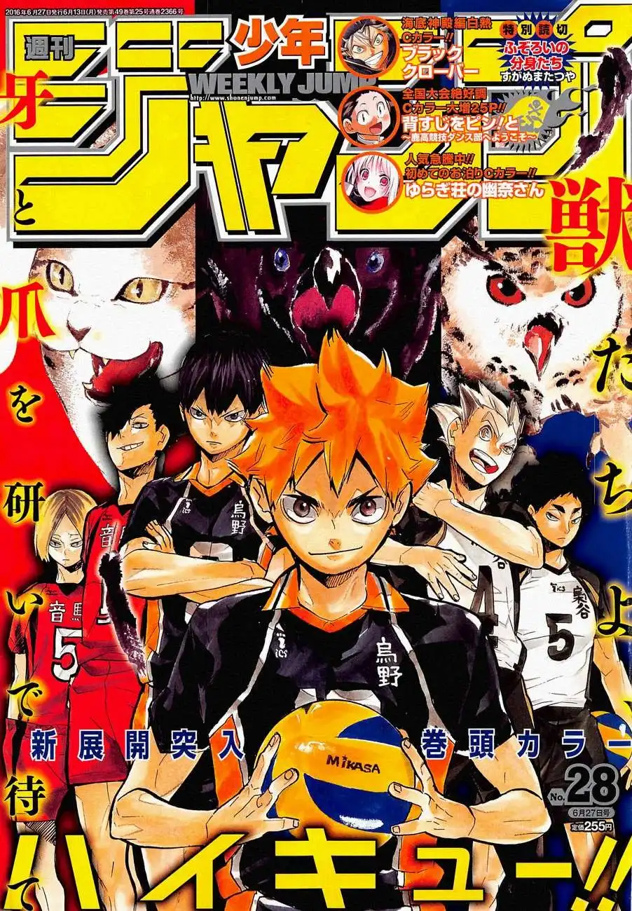 Read Haikyuu!! Manga Online