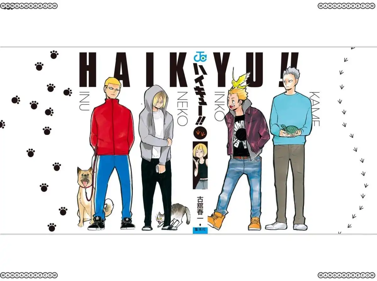Read Haikyuu!! Manga Online