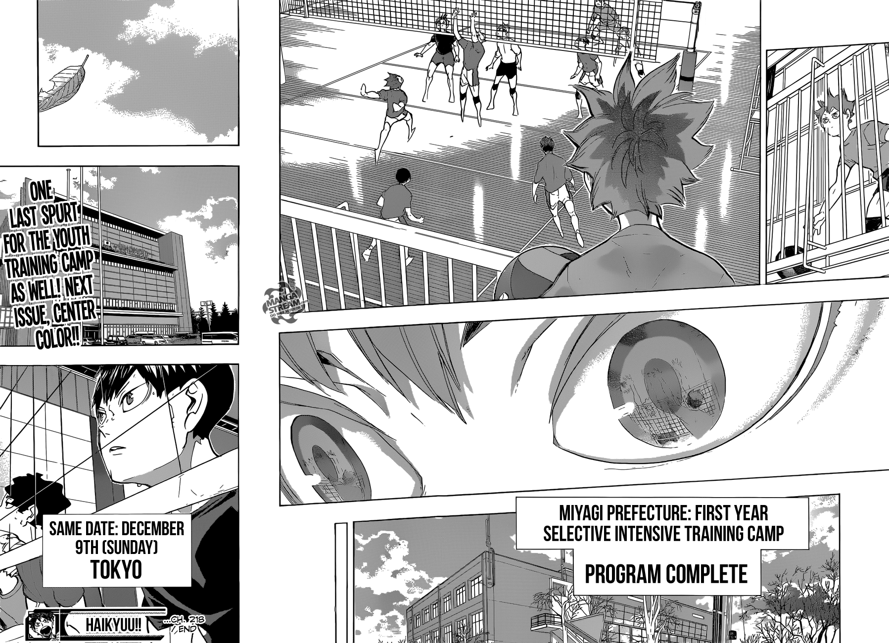 Read Haikyuu!! Manga Online