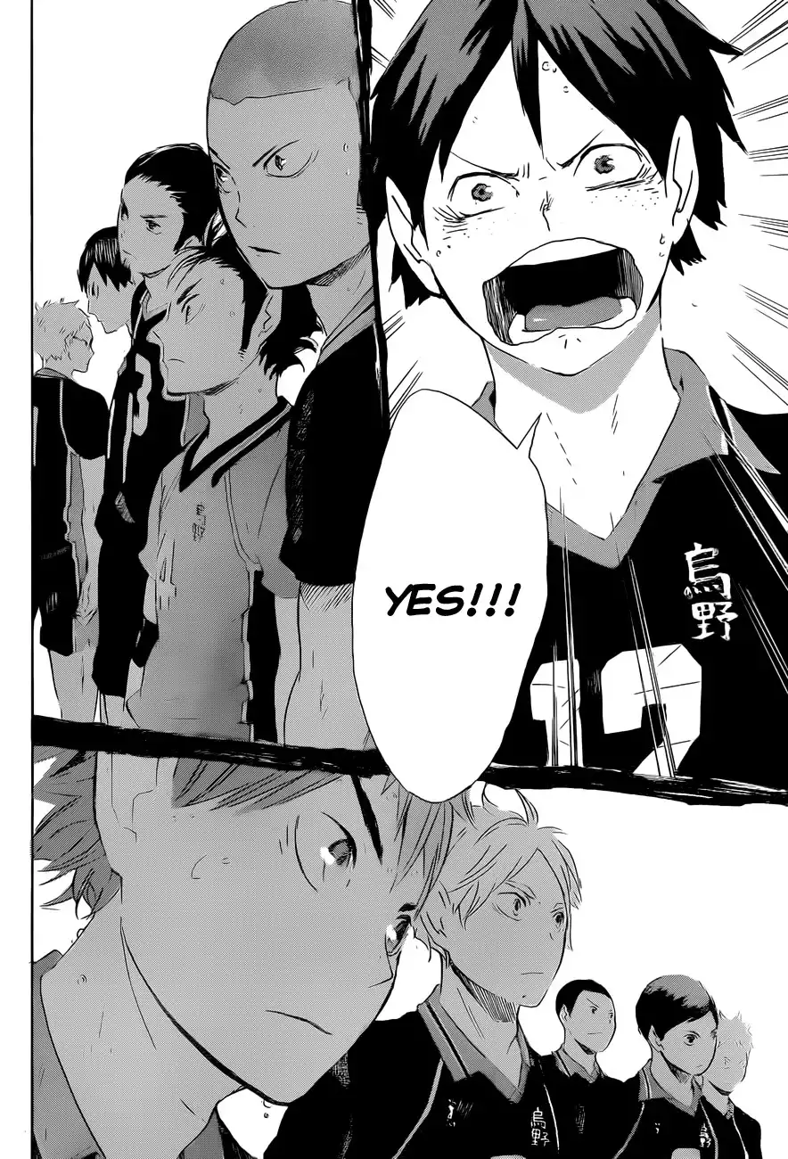 Read Haikyuu!! Manga Online
