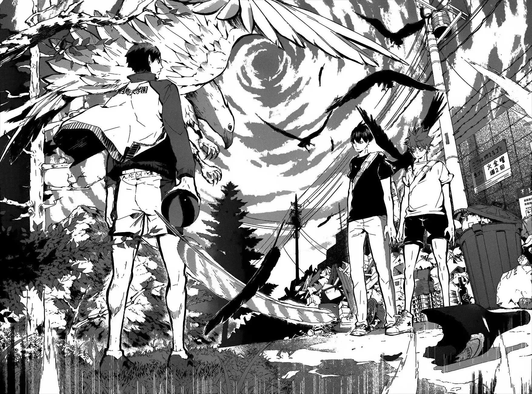 Read Haikyuu!! Manga Online