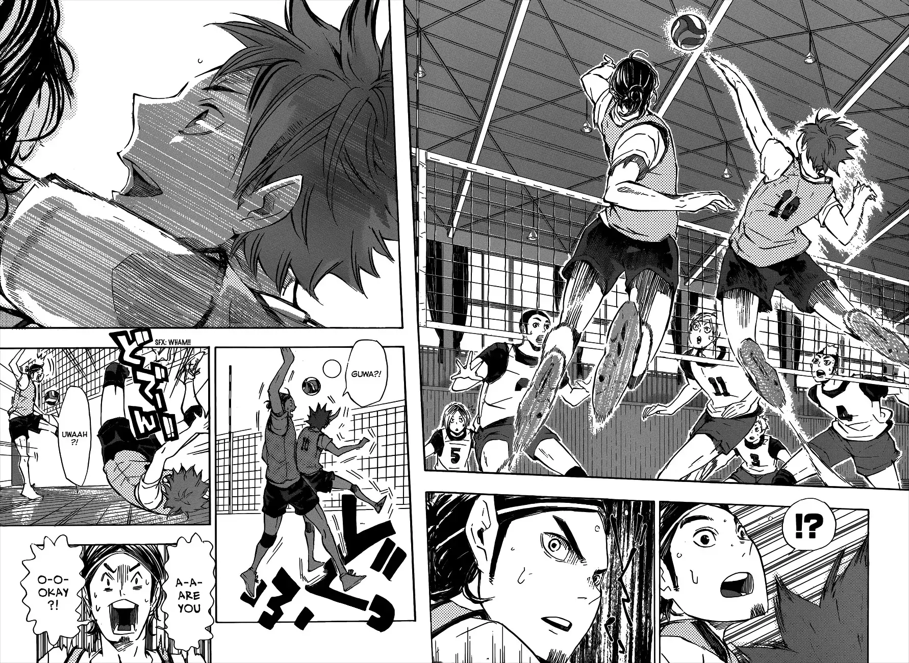 Read Haikyuu!! Manga Online