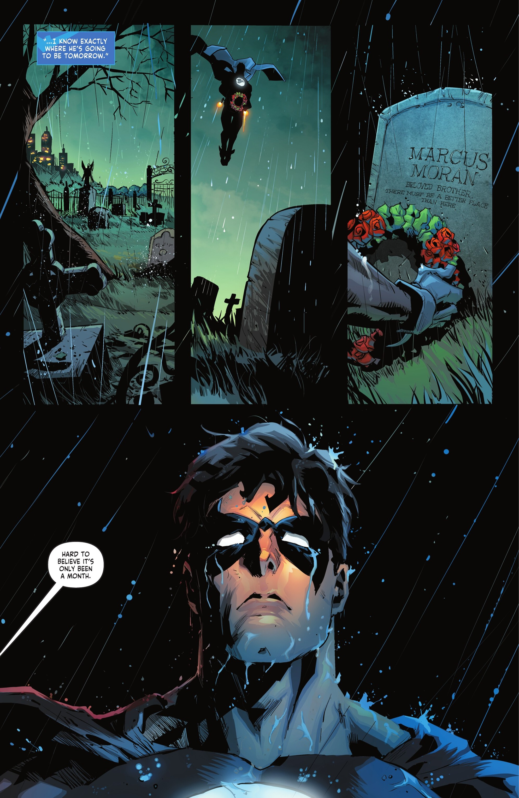 Read Nightwing (Comic Book) Manga Online