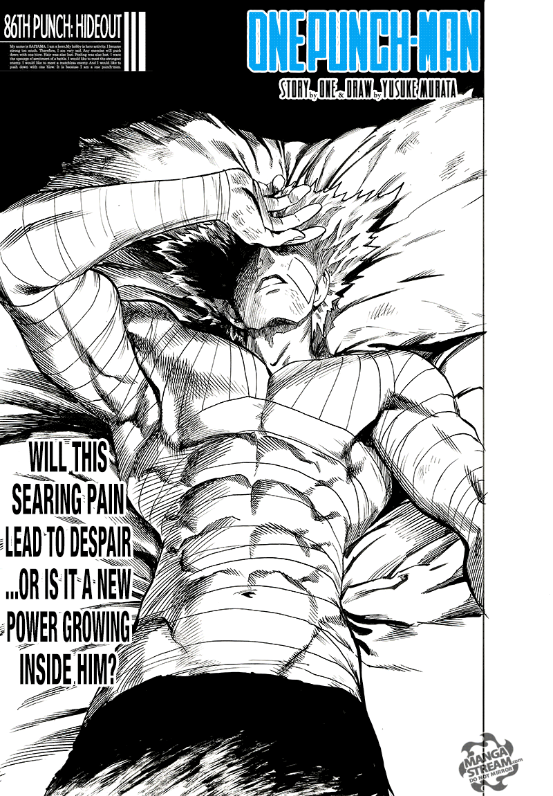 Read One Punch-Man Manga Online