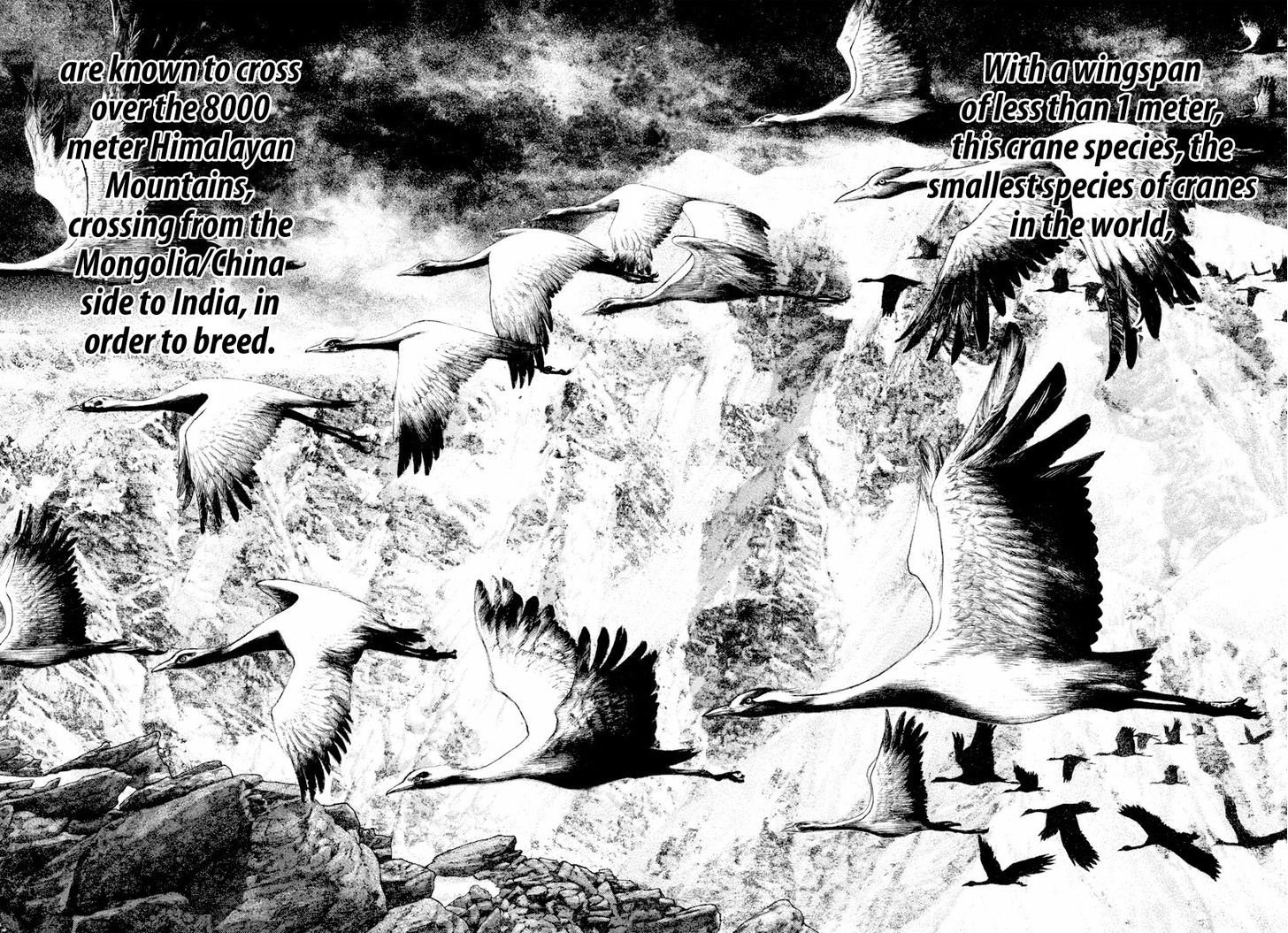 Read The Climber Manga Online