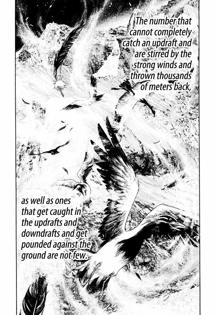 Read The Climber Manga Online