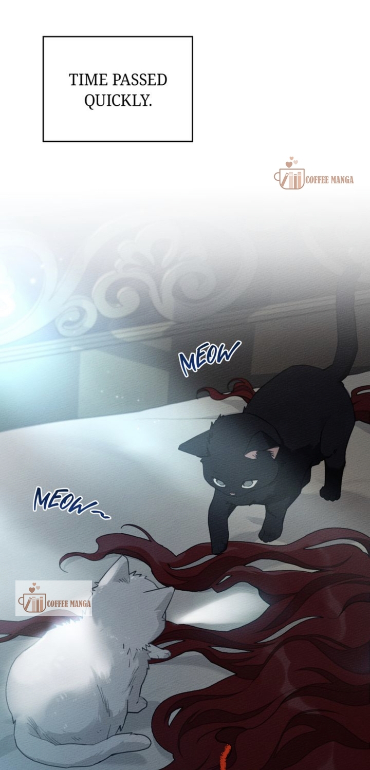 Read Under the Oak Tree Manga Online