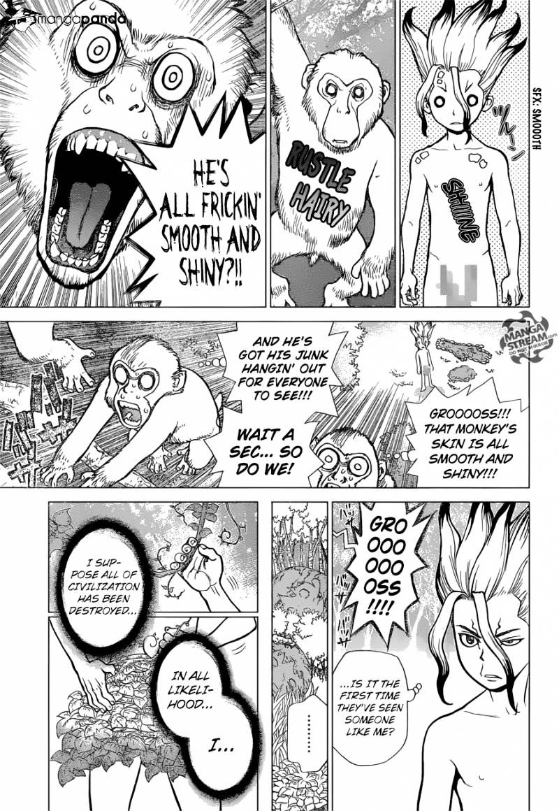Read dr. Stone Manga Online