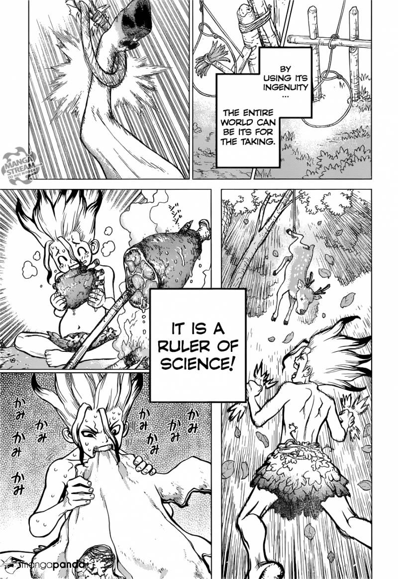 Read dr. Stone Manga Online