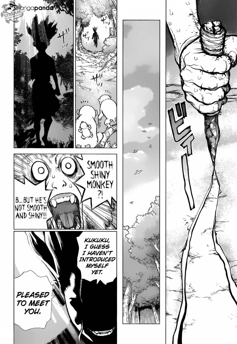 Read dr. Stone Manga Online