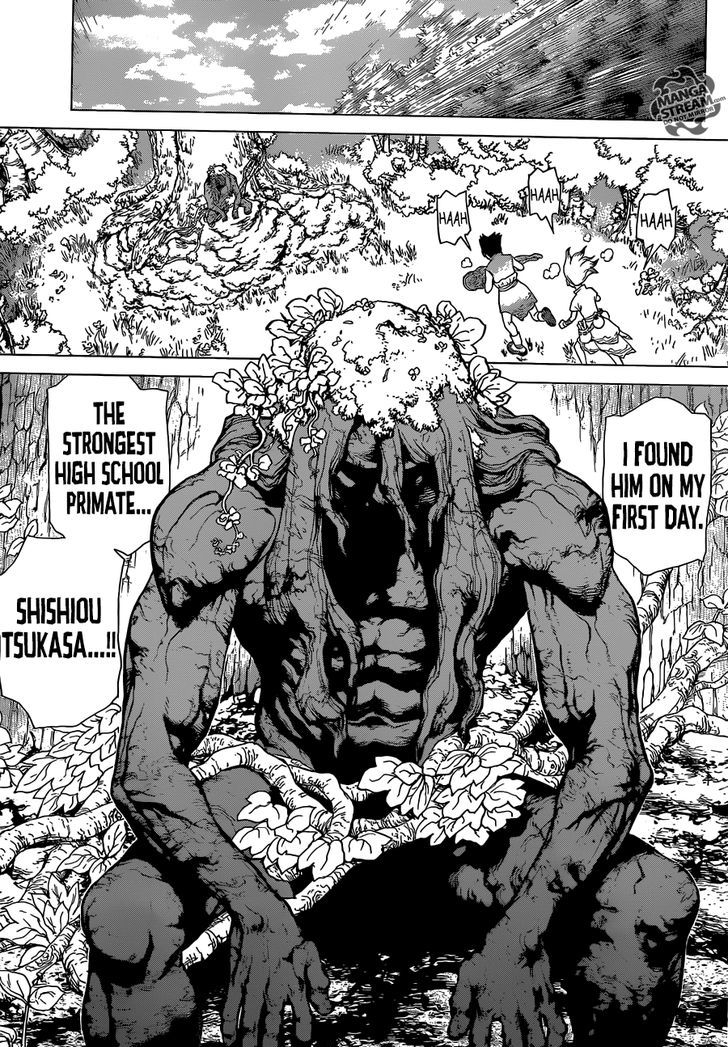 Read dr. Stone Manga Online