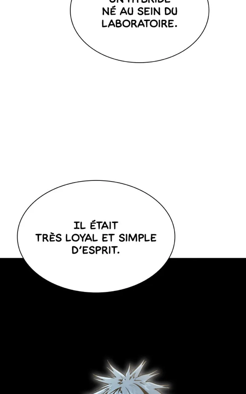 Read Tower of God (FR) Manga Online