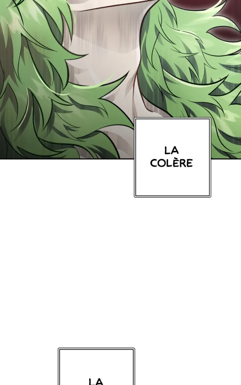 Read Tower of God (FR) Manga Online
